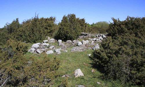 Foto: Stefan Svenaeus