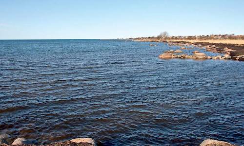 Foto: Bokförlaget SETTERN