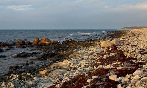 Foto: Bokförlaget Settern