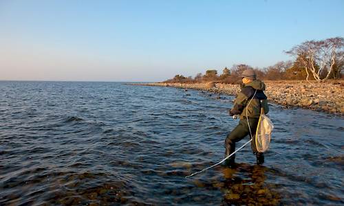 Foto: Bokförlaget Settern