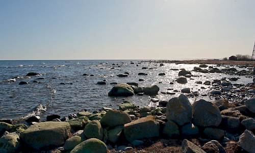 Foto: Bokförlaget Settern