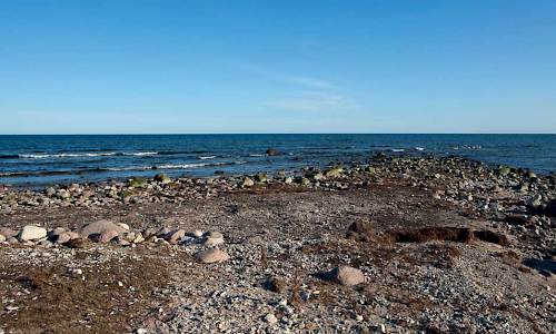 Foto: Bokförlaget Settern