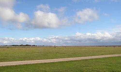 Foto: Stefan Svenaeus