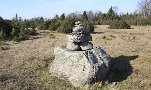 Foto: Stefan Svenaeus