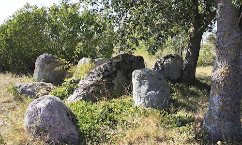 Foto: Stefan Svenaeus
