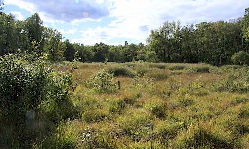 Foto: Stefan Svenaeus