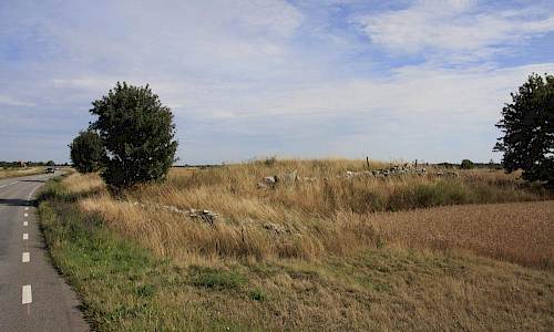 Foto: Stefan Svenaeus