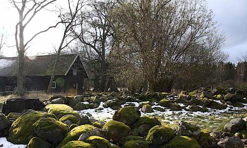 Rester av Stormansgården i Skäftekärr. Foto: Stefan Svenaeus