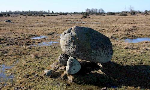 Foto: Stefan Svenaeus