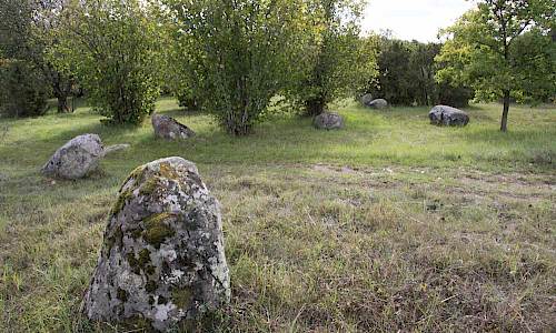 Foto: Stefan Svenaeus