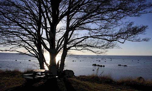 Foto: Stefan Svenaeus