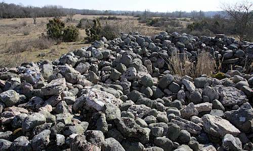 Foto: Stefan Svenaeus 2016