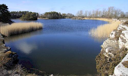 Stora övre dammen. Foto: Stefan Svenaeus 2016