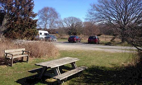 Foto: Stefan Svenaeus