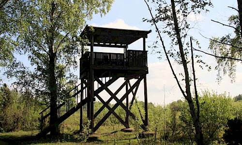 Foto: Stefan Svenaeus