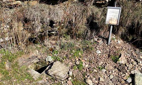 Foto: Stefan Svenaeus