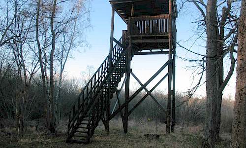 Foto: Stefan Svenaeus