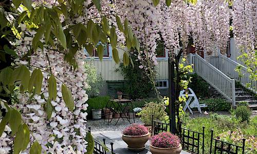 Foto: Mirabellgården