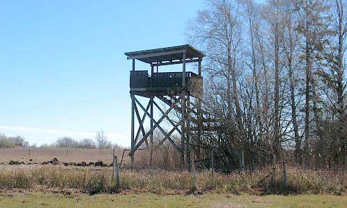 Foto: Stefan Svenaeus