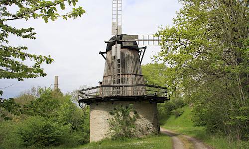 Foto: Stefan Svenaeus 2016