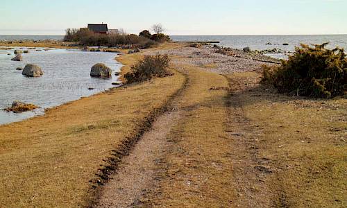 Foto: Stefan Svenaeus 2017