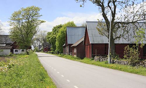 Foto: Stefan Svenaeus 2015