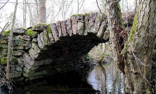 Foto: Stefan Svenaeus 2017