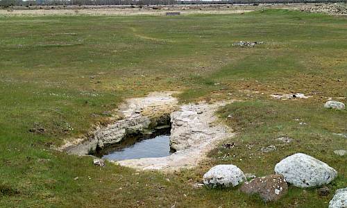 Foto: Stefan Svenaeus, maj 2017
