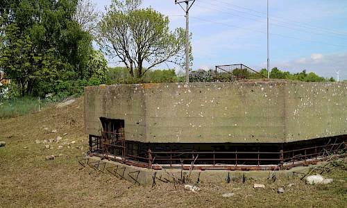 Foto: Stefan Svenaeus 2017