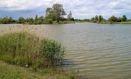 Foto: Stefan Svenaeus 2017