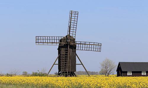 Foto: Stefan Svenaeus 2017