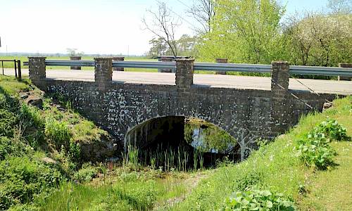 Foto: Stefan Svenaeus 2017