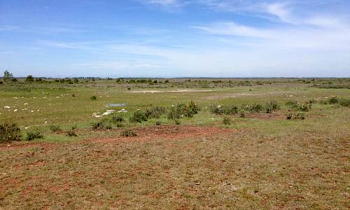 Foto: Stefan Svenaeus 2017