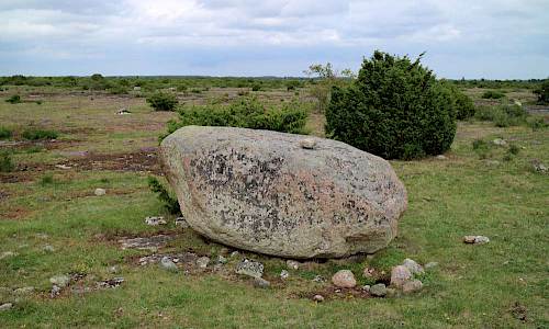 Foto: Stefan Svenaeus