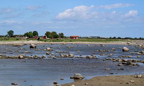 Foto: Stefan Svenaeus 2017