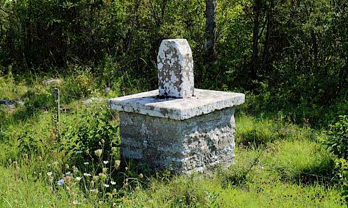 Foto: Stefan Svenaeus 2017