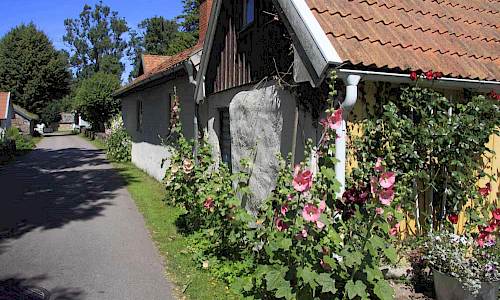 Foto: Stefan Svenaeus 2013