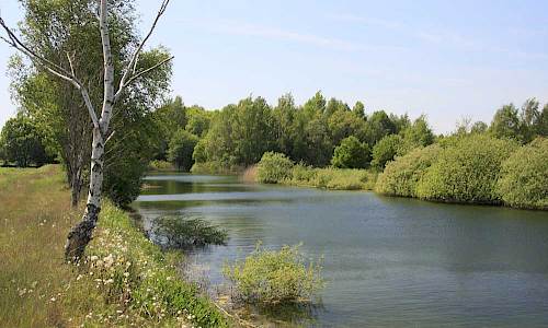 Foto: Stefan Svenaeus 2014