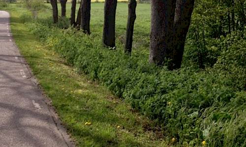 Foto: Margit Fribergsällskapet