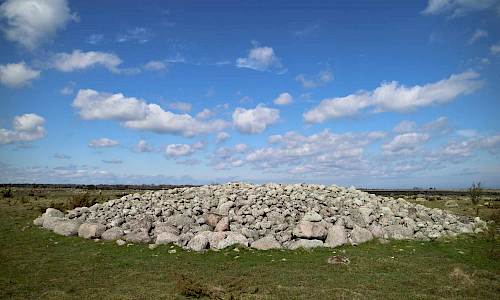 Foto: Stefan Svenaeus 2018