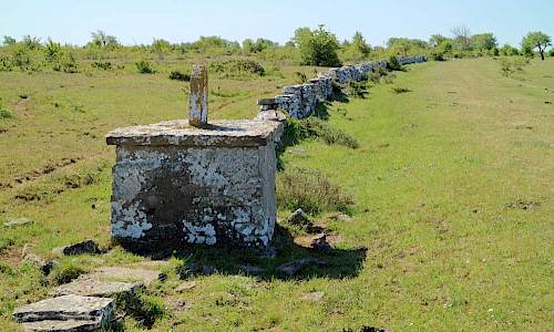Foto: Stefan Svenaeus 2018