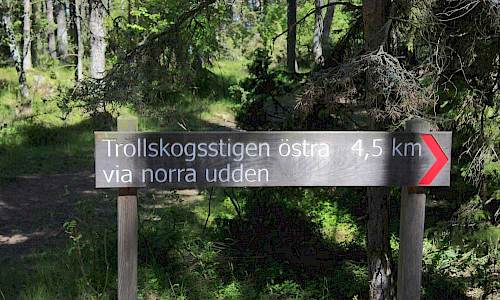 Foto: Stefan Svenaeus