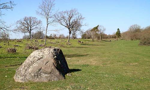 Foto: Stefan Svenaeus 2018