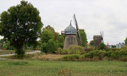 Björnhovdakvarnarna. Foto: Stefan Svenaeus 2018