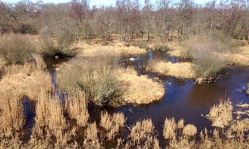 Foto: Stefan Svenaeus 2016