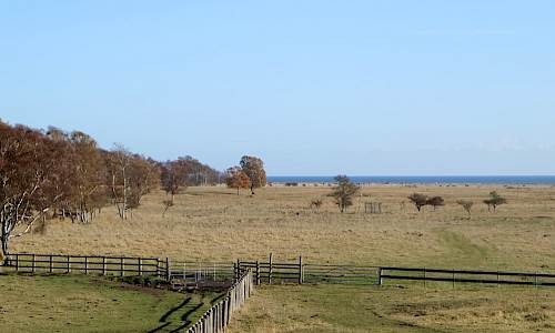 Foto: Stefan Svenaeus 2018