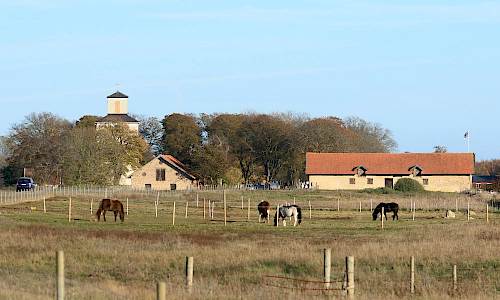Foto: Stefan Svenaeus 2018