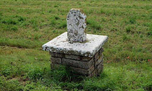 Foto: Stefan Svenaeus 2017