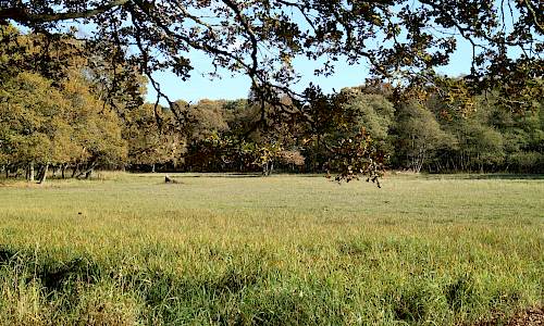 Foto: Stefan Svenaeus 2018