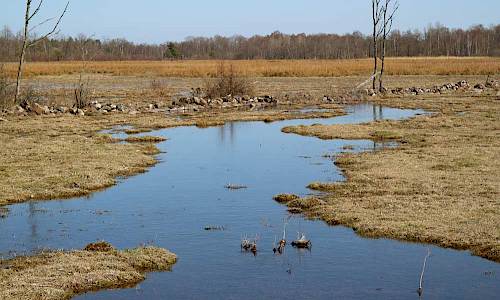 Foto: Stefan Svenaeus 2018